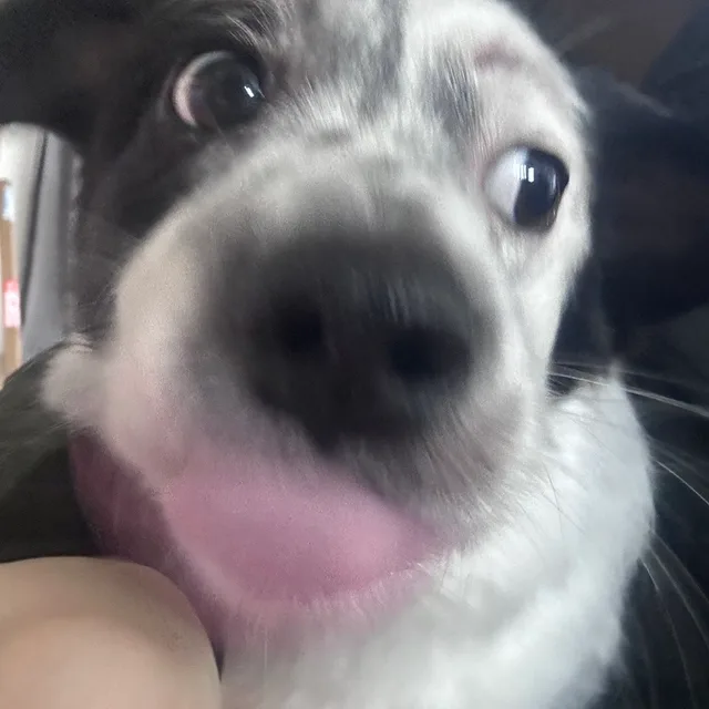 히야눈나