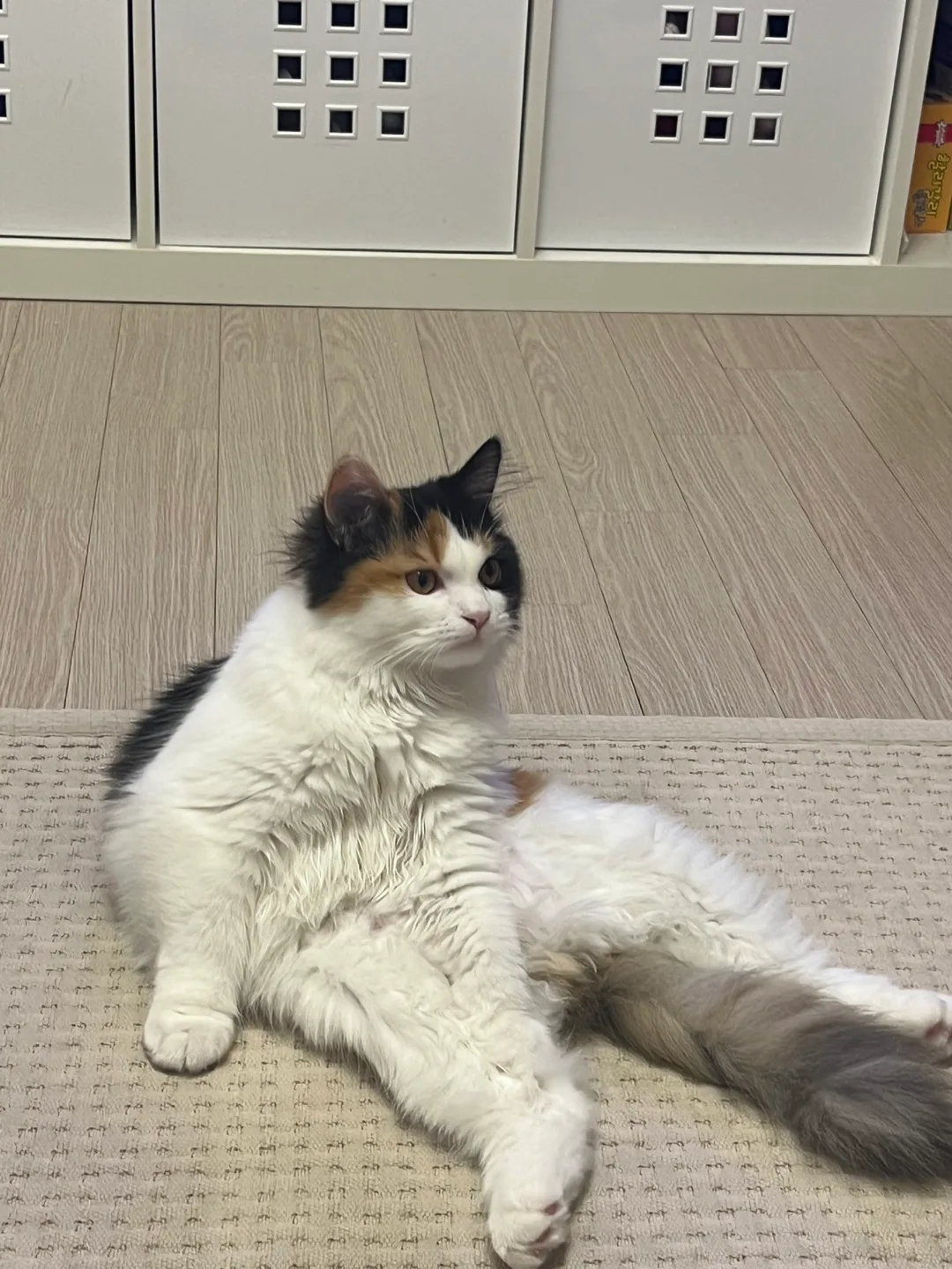 당근맨