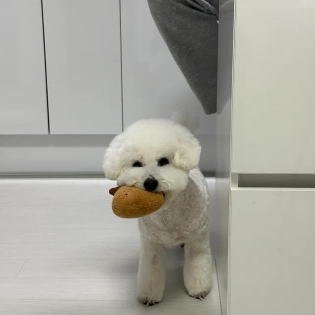 아람