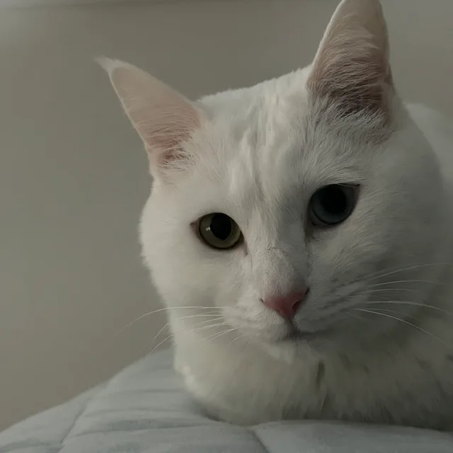 먀먀먀먀먀먕