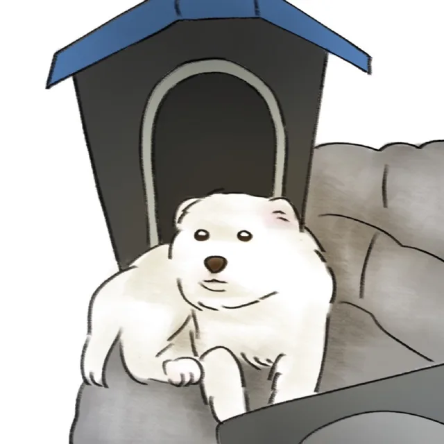 무주뚠빵이