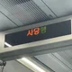 양크