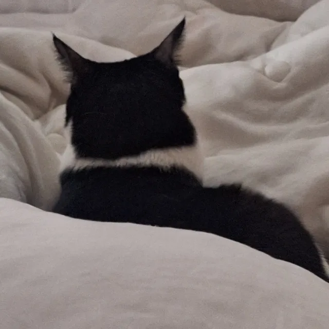 profile