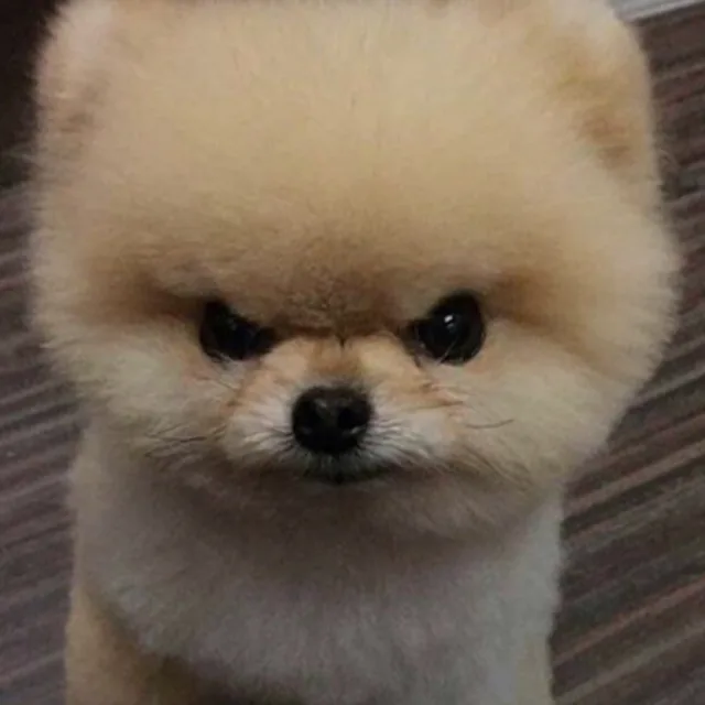낭낭하게