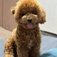 신뢰거래