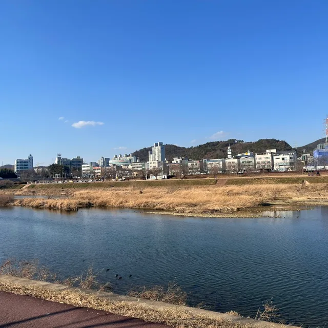 모리모리