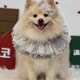 연이