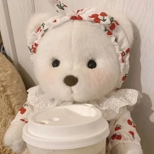 당근세상