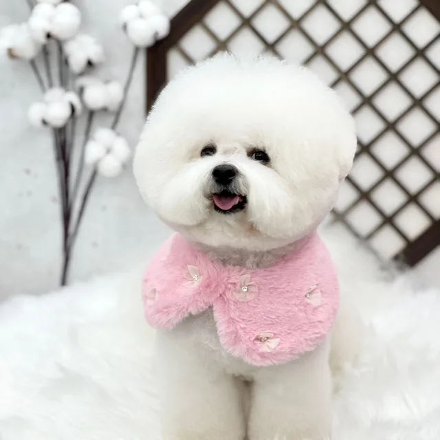 쿵쓰
