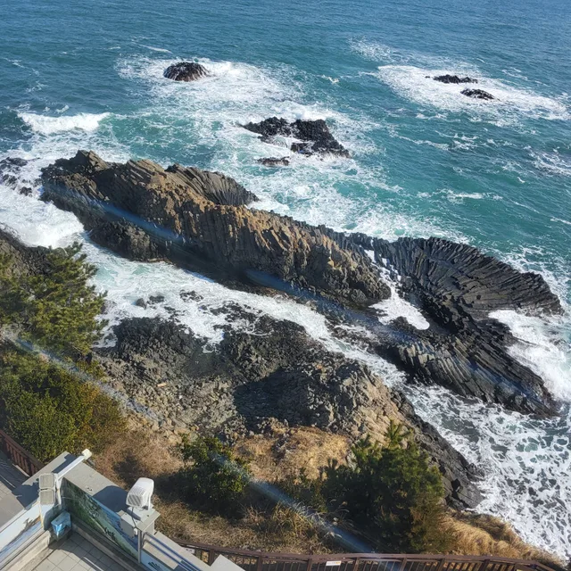 로사
