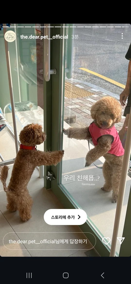 쿠순이네