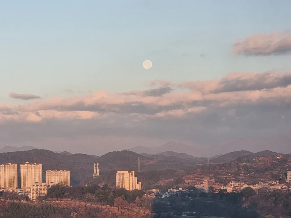 당근당근