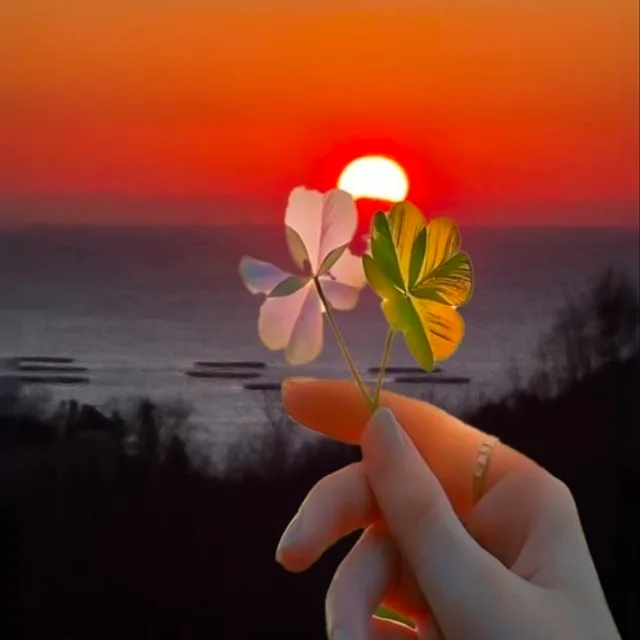 최부자