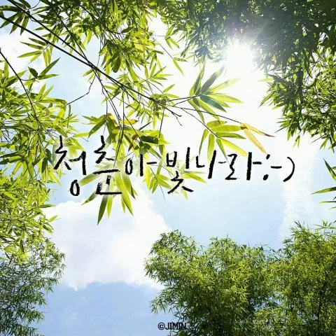 주야