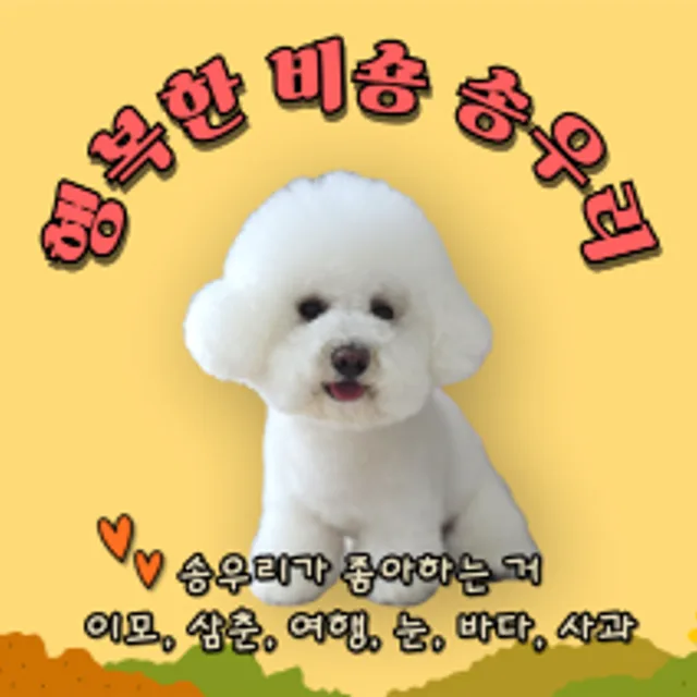 행복한비숑송우리