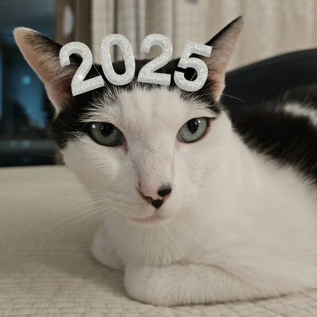 캬옹