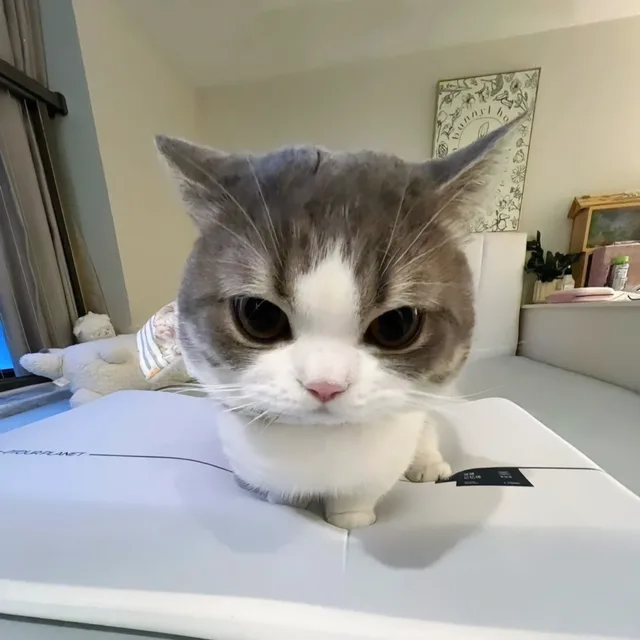 할일이태산