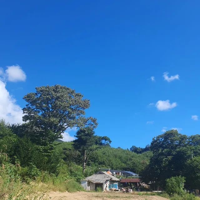 당근아저씨