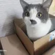 서울의달