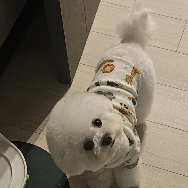 꼬득이