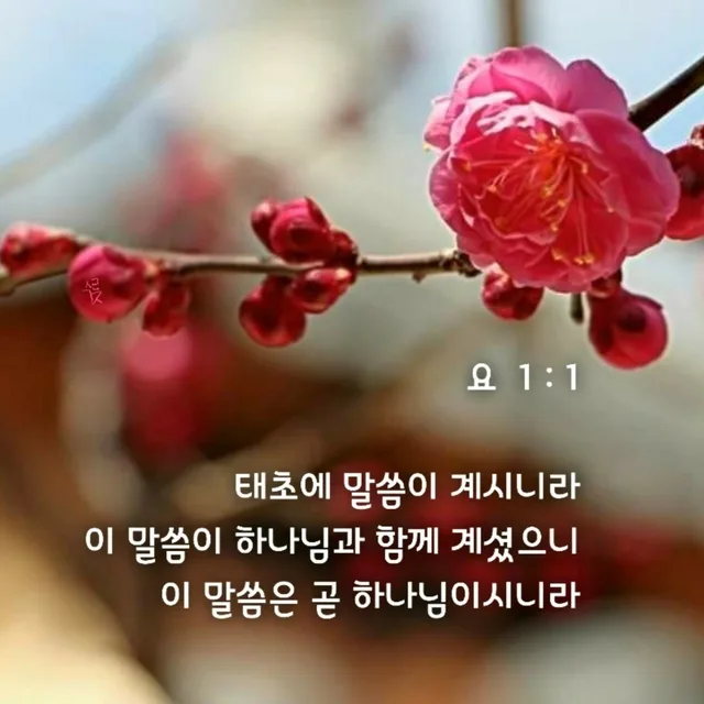 마카와라