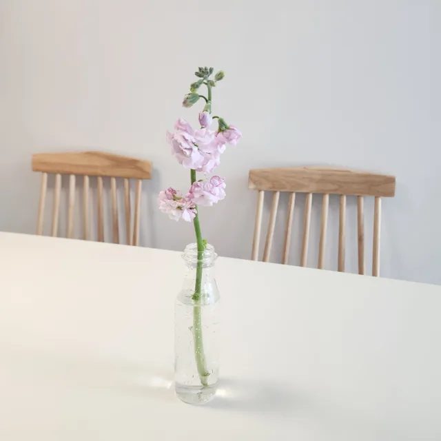 바쁜학생이자엄마