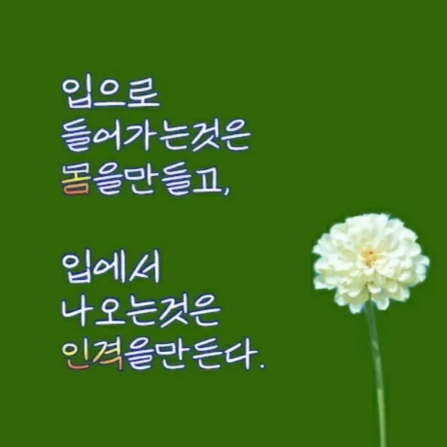 긍정의힘Y럭키비키