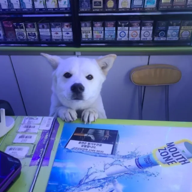 꿍꿍꿍