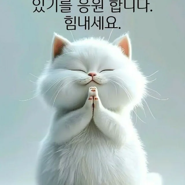 처음처럼