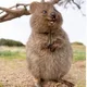호호듀