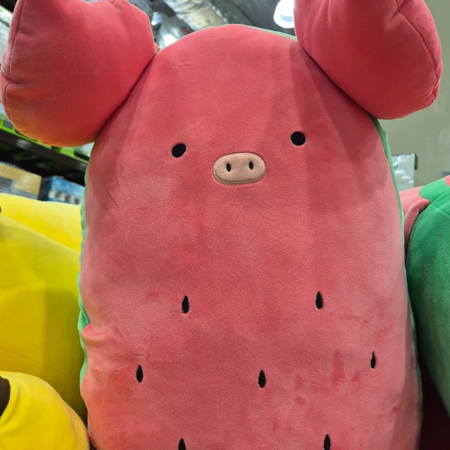 내인생무지개