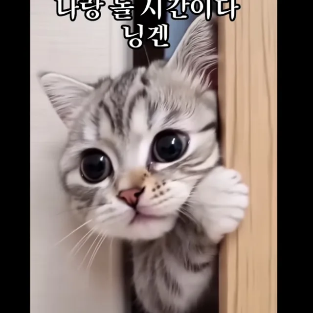 무념무상