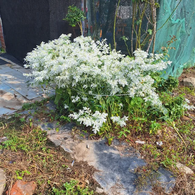 가을
