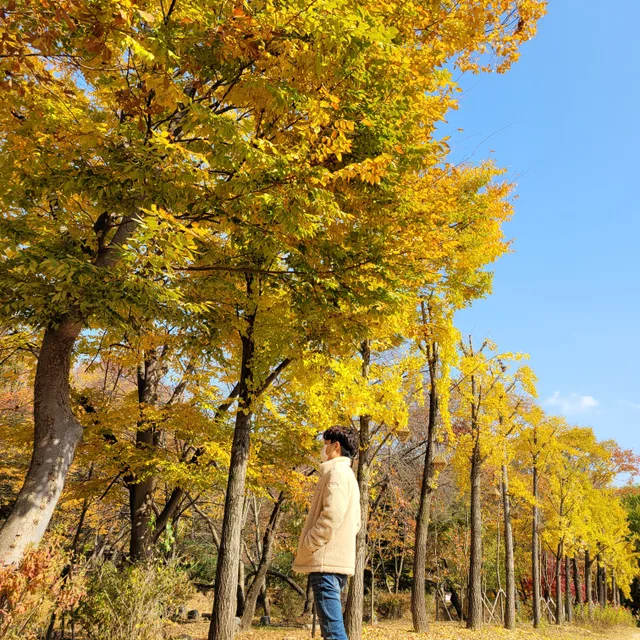 쥬로로