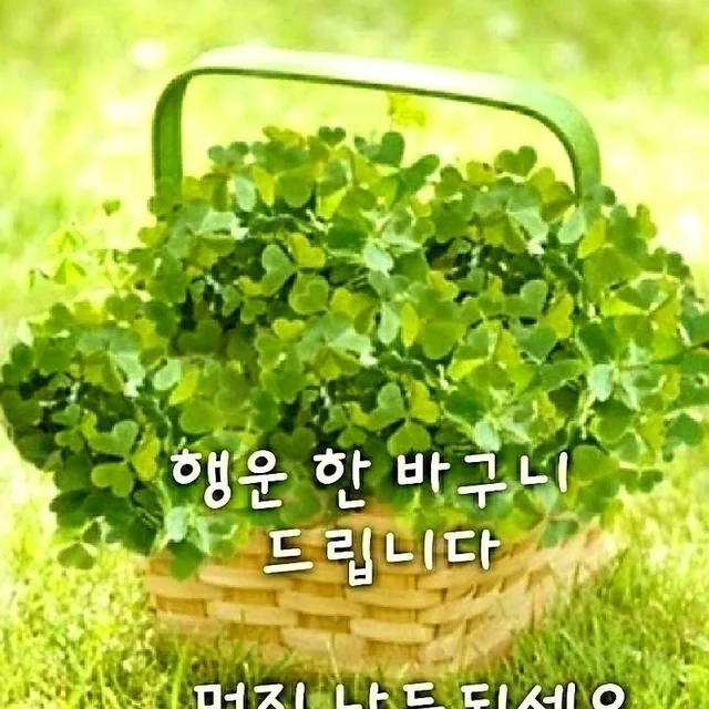 행복