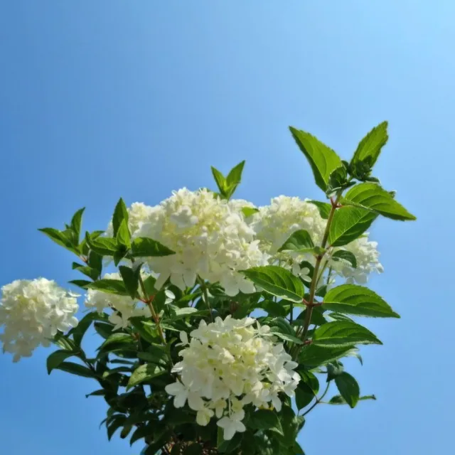 언제나
