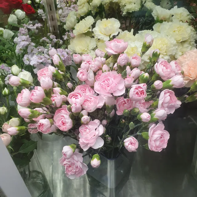 꽃순이