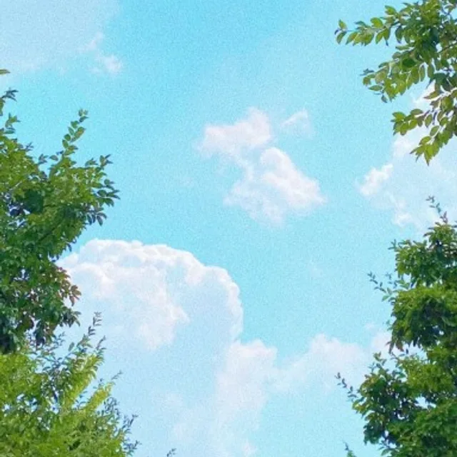 화이