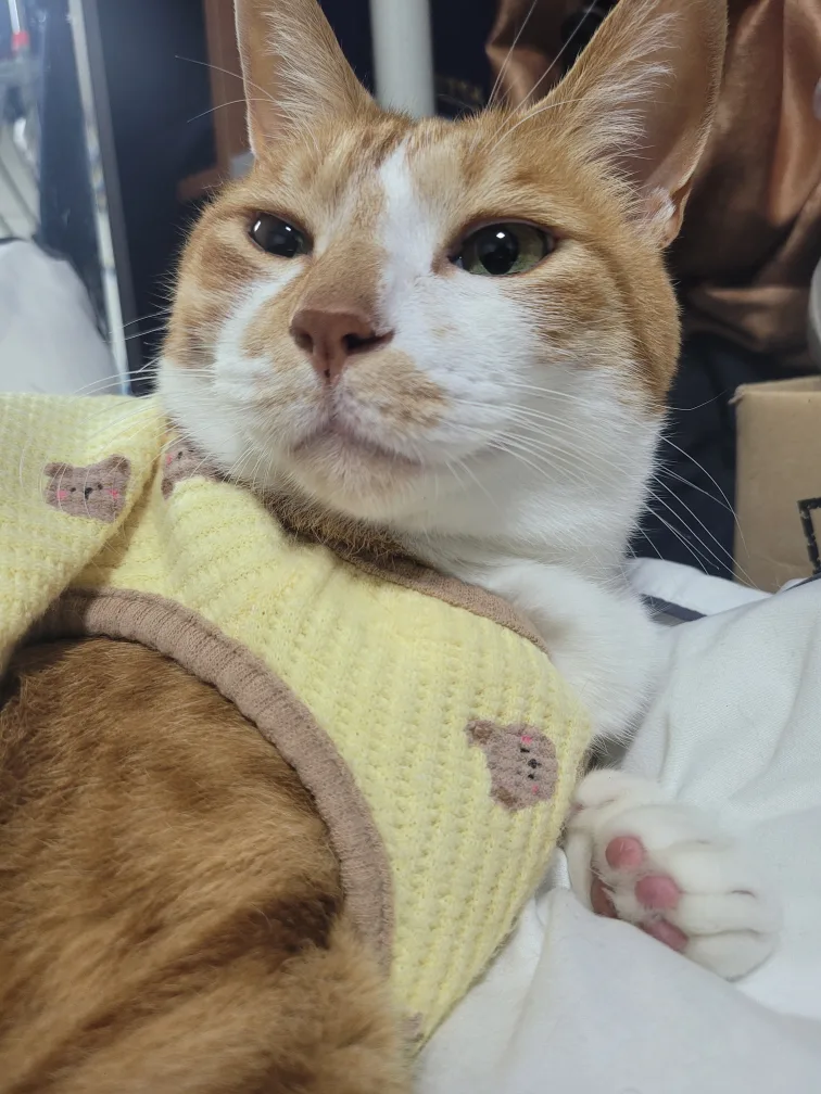 티끌모아티끌