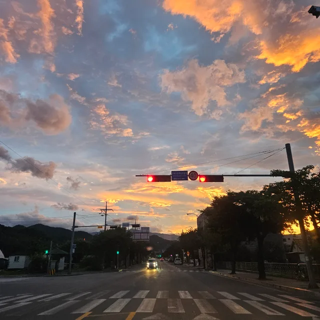 곰도리