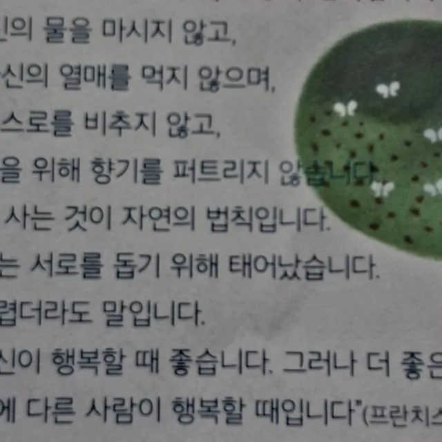 갈대바다