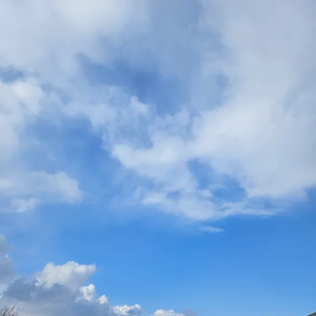 오르다