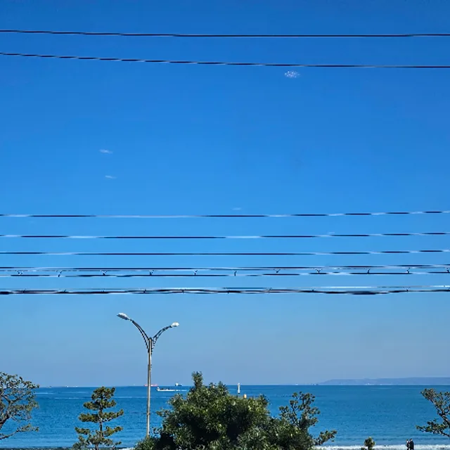 봄봄