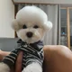 몽글몽글