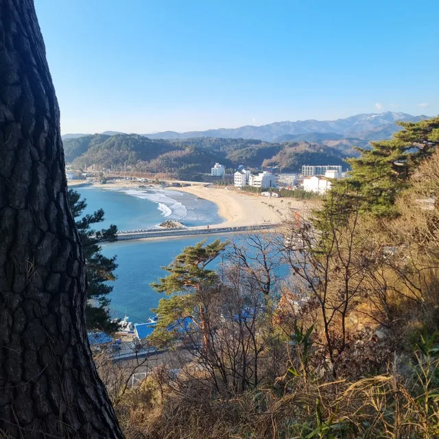 비소리들리면A777Z