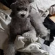 모모맘