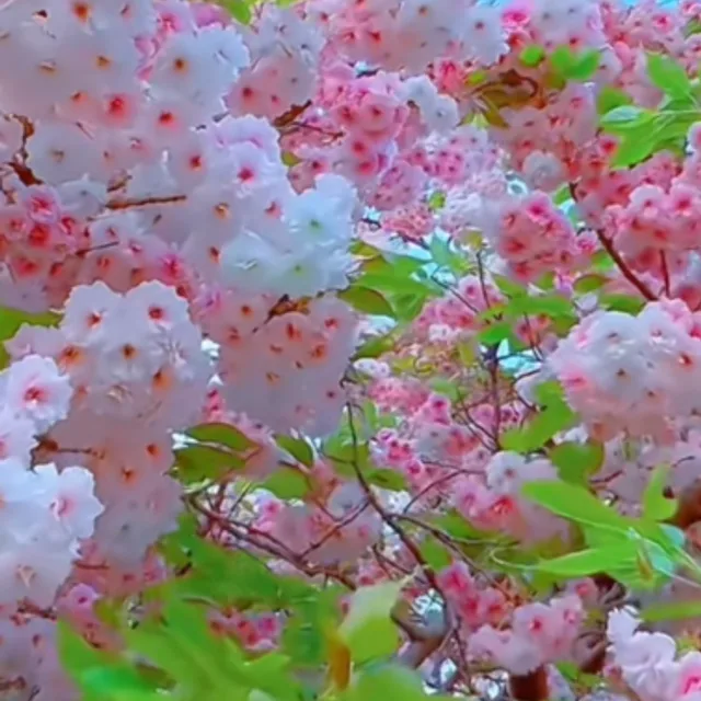 공감