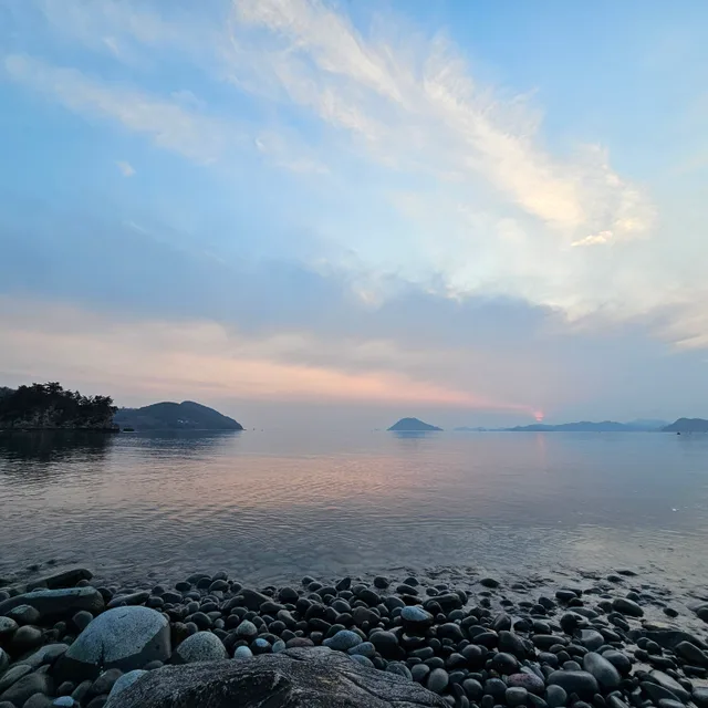 바다조아