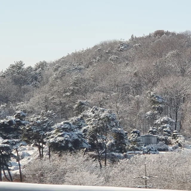 좋은날