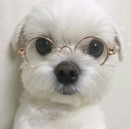 둥실